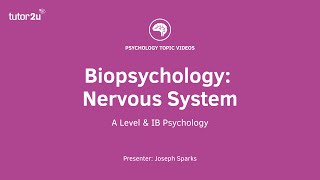 Biopsychology Nervous System Explained [upl. by Kylstra]