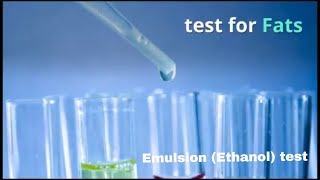 Food test  Emulsion ethanol test for Fats IGCSE GCSE AQA O level Cambridge Checkpoint [upl. by Sihun876]