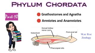 Part10 What are Gnathostomes amp AgnathaDifference between Anamniotes and AmniotesMSc BSc Zoology [upl. by Lorie100]