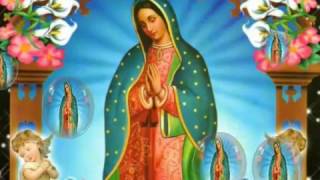 Virgen de Guadalupe La Guadalupana [upl. by Scevo]