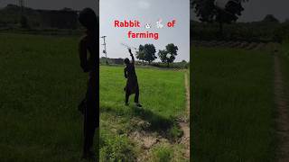 Rabbit🐰of farming🧺with new🆕technologyvillagelife farmerfarminghumor hunting shortstechnology [upl. by Odravde759]