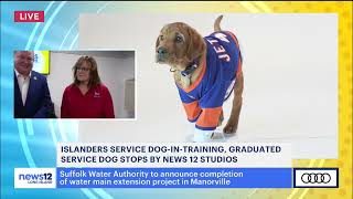 News12 Long Island  NY Isles Pup Jethro visits News12 studios [upl. by Anya]