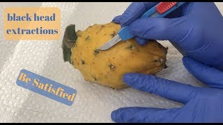 ASMR Surgery On Dragon Fruit [upl. by Ellak]