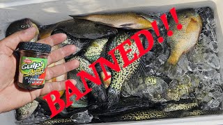 Crappies and Bluegills Cant Resist this BAITBANNED in TOURNAMENTS [upl. by Lola]