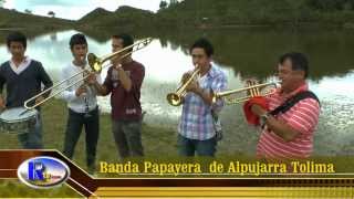 Banda Papayera de Alpujarra Tolima El Barcino [upl. by Ymereg]