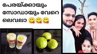 guava juice പേരയ്ക്ക ജ്യൂസ് Malayalam video [upl. by Oicul]