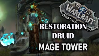 Restoration Druid  Mage Tower  Dragonflight Season 3 1025 [upl. by Minton]