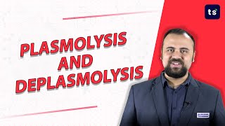 Concept of Plasmolysis and deplasmolysis in plant cell  types of plasmolysis  Biology [upl. by Lyrac408]