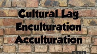 Cultural Lag Enculturation and Acculturation for BEd [upl. by Berg]