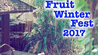 Impresiones del Fruit Winter Festival Chiang Mai [upl. by Vyner991]