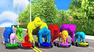 Cloth Animals Finger Family Song For Kids  Gorillanursery rhymestigercheethaarcus n media Kids [upl. by Deehsar932]