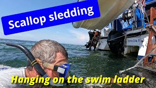 Scalloping and snorkeling and sailing NW Florida [upl. by Osgood]