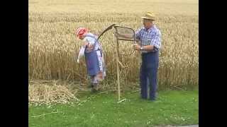 Teil 13 Getreide  Von der Saat bis zum Brot [upl. by Hakeber]