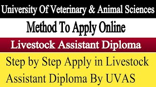 How To Apply in UVAS for Livestock Assistant Diploma 2022  UVAS LiveStock Assistant Diploma [upl. by Adriane]