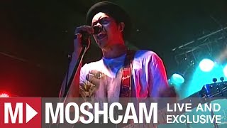 The Temper Trap  Down River  Live in Sydney  Moshcam [upl. by Puna913]