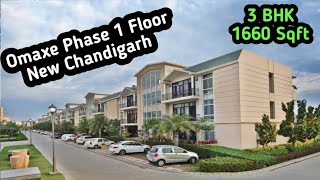 3 BHK 185 Gaj Floor Omaxe Phase 1 New Chandigarh  Luxury With Lush Green Parks [upl. by Neille]