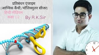 Restriction endonuclease enzyme RDNA Recombinant technology by RK Sir [upl. by Teik]