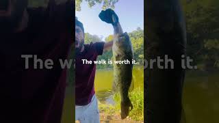 Water heifer bass bassfishing fishing fishin fish trout carp salmon catchandrelease pike [upl. by Niajneb]