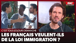 Arnaud Demanche  Les Français veulentils de la loi immigration [upl. by Ann-Marie979]