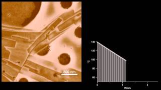 Recrystallization of polypropylene in polystyrene  polypropylene blend [upl. by Gilliette]