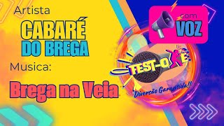 Cabaré do Brega Brega na Veia com Voz [upl. by Ymot]