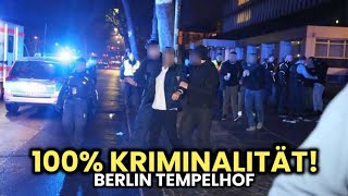 Berlin Tempelhof wird zum Arbeitslosen Brennpunkt 😱🔥 100 Migration [upl. by Naggem]