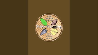 Paleo acorn processing [upl. by Adnyc]