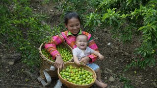 Life of a 17YearOld Single Mother with Her Daughter  Harvesting Plums in the Mountains [upl. by Bathesda]