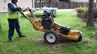 Carlton SP2000 Stump Grinder 475mm Petrol [upl. by Ahsiryt]