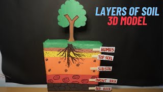 Layers of soil model  Soil layers model project  soil profile model  Model of composition of soil [upl. by Kaila226]