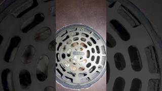 Fast Food Floor Drain Fix – Clearing the Clog amp Stopping Sewer Smell asmr diy fyp shorts short [upl. by Haas]