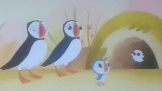 Puffin Rock Theme Song Castilian Spanish Baby TV [upl. by Heintz]