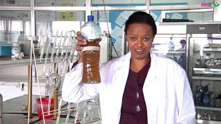 Producing Environmentally Friendly Fertilizer from Human Urine [upl. by Chaudoin869]