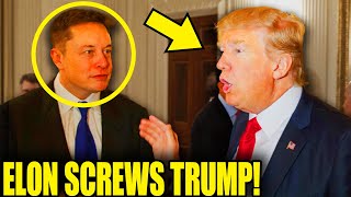 Elon STABS TRUMP In The BACK With SHOCKING Admission [upl. by Assertal641]