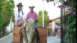 La Bandononona Rancho Viejo de Julio Aramburo  Amor Ligero Video Oficial [upl. by Barina]