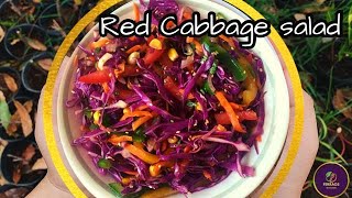 Red Cabbage Salad  Crunchy Cabbage Salad in 10 Minutes  Easy amp Healthy Salad [upl. by Sivet522]