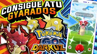 🕹Como conseguir a MAGIKARP Y GYARADOS en Pokémon Go en 2024🕹 [upl. by Dianne]