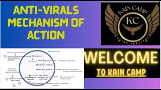 Mechanisms of Action of Antiviral Drugs Across Different Stages of Viral Infection [upl. by Aiahc]