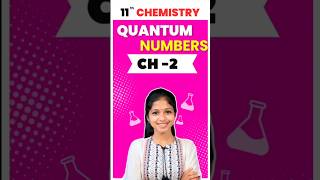 11th Chemistry chapter 2 Quantum Numbers Quarterly Important Questions 2024 [upl. by Meekah]