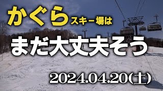 かぐらスキー場はまだ大丈夫そう 2024年04月20日（土） かぐらスキー場 スキー スノーボード [upl. by Arag]