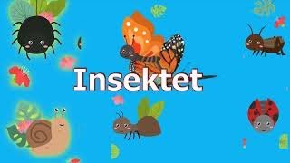 Insektet punëtore Video për fëmijë në shqip Abc shqip [upl. by Inaffyt488]