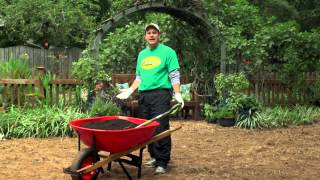 Howto Plant a New Tall Fescue Lawn from Grass Seed [upl. by Baras]