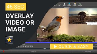 VideoPad Tutorial How to Overlay Image or Video in VideoPad [upl. by Laurentia]