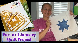 A Year in Solids January Quilt part 2 [upl. by Anerol]