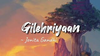 Gilehriyaan  Dangal  Full Video Song with Lyrics [upl. by Ahsinrat]