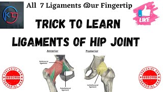 Trick to learn Ligament of Hip joint  Ligaments of Hip joint  hip joint  ligament mnemonicTrick [upl. by Rafaj349]