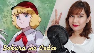 Little Prince Cedie 小公子セディ OP quot Bokura no Cedie quot ぼくらのセディ Cover by Ann [upl. by Alit]