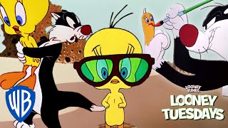 Looney Tuesdays  The Cat amp The Canary  Looney Tunes  WB Kids [upl. by Hgielime]