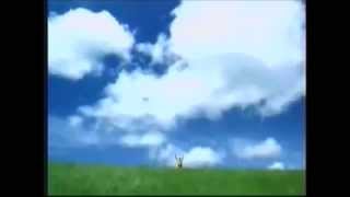 Windows XP Commercial [upl. by Einner]