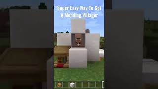 Super Easy Way to get mending villager Minecraft [upl. by Artcele]